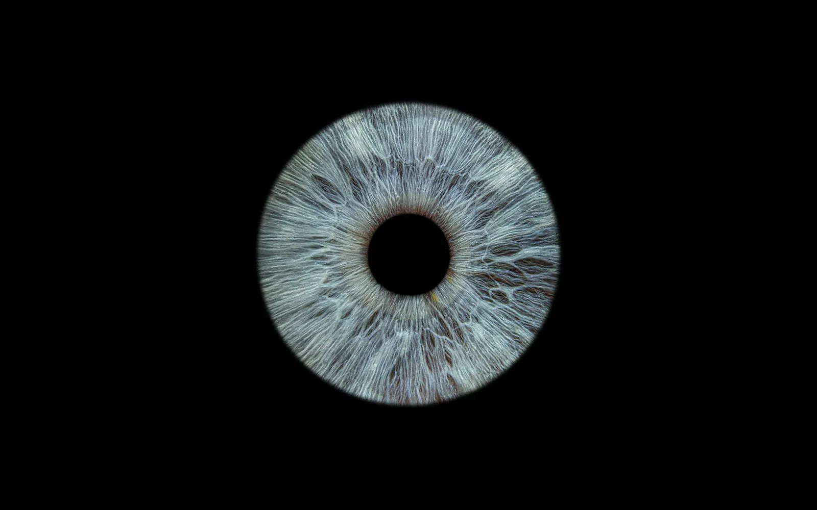 High-resolution macro photograph of a human iris showing fine fibre texture
